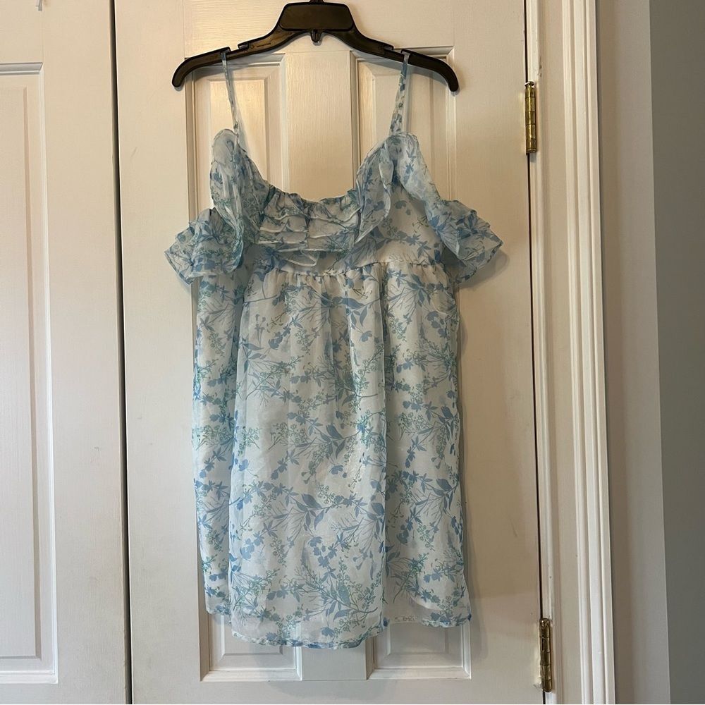 Storia Blue & White Toile Floral Sheer Babydoll Ruffle Sleeveless Mini Dress Med